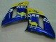 Amarillo Carenado Moto Yamaha R6 1998-2002 Amarillo Carenado Moto Yamaha R6 1998-2002