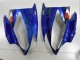 Azul Tiburón Carenado Moto Yamaha R6 2006-2007