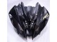 Brillante Negro Mate Carenado Moto Yamaha R6 2008-2016
