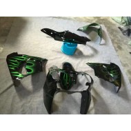 Brillante Negro Verde Llama Carenado Moto Kawasaki ZX9R 2002-2003