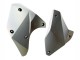 Carenados Moto Kawasaki Ninja H2 2015-2022 - Plata