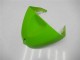 Carenados Moto Kawasaki ZX6R 2005-2006 - Verde Negro Brillante Elf