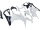 Carenados Moto Kawasaki EX300 2013-2024 - Blanco Negro