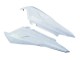 Carenados Moto Aprilia RS125 2006-2011 - Sin Pintar