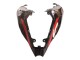 Carenados Moto Kawasaki ZX10R 2021-2025 - Verde Negro Rojo