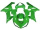 Carenados Moto Kawasaki ZX6R 2005-2006 - Verde