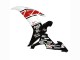 Carenados Moto Yamaha YZF 1000 R1 2002-2003 - Blanco Rojo Negro Castrol