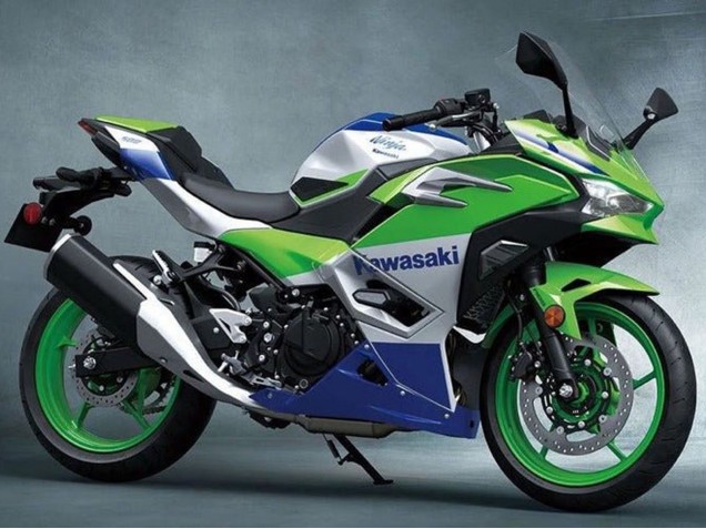 Carenados Moto Kawasaki Ninja 500 EX500R 2024-2025 - Plata Verde Azul