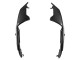 Carenados Moto Aprilia RS660 2020-2024 - FibraCarbono