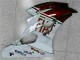 Marrón Blanco Carenado Moto Yamaha R6 2006-2007 Marrón Blanco Carenado Moto Yamaha R6 2006-2007