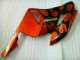 Naranja Negro Kit Carenado Moto Honda CBR 1000 RR 2004-2005
