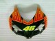 Naranja Verde Carenado Moto Honda CBR 1000 RR 2004-2005