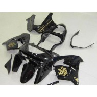 Negro JW Carenado Moto Kawasaki ZX9R 1998-1999
