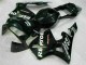 Negro Plástico Moto Honda CBR 600 RR 2003-2004
