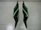 Negro Verde Kit Completo Carenado Moto Kawasaki ZX6R 2013-2018 Negro Verde Kit Completo Carenado Moto Kawasaki ZX6R 2013-2018