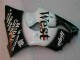 Negro West Ninja Carenado Moto Kawasaki ZX6R 2000-2002