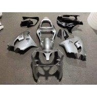 Plata Brillante Negro Carenado & Plástico Moto Kawasaki ZX9R 2002-2003