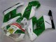 Verde Blanco Carenado Moto Honda CBR 1000 RR 2004-2005 Verde Blanco Carenado Moto Honda CBR 1000 RR 2004-2005