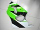 Verde Blanco Negro Carenado Moto Kawasaki ZX6R 2000-2002