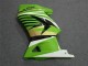 Verde Blanco Negro Ninja Carenado Moto Kawasaki EX250 2008-2012