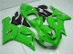 Verde Carenado Moto Kawasaki ZX6R 2005-2006