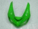 Verde Carenado Moto Kawasaki ZX6R 2005-2006