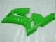 Verde Carenado Moto Kawasaki ZX6R 2005-2006