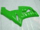 Verde Carenado Moto Kawasaki ZX6R 2005-2006