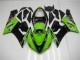 Verde Carenados Moto Kawasaki ZX6R 2005-2006