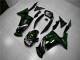 Verde Llama Carenado Moto Kawasaki EX650 2006-2008
