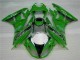 Verde Negro LeoVince Carenado Moto Kawasaki ZX6R 2009-2012