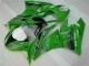 Verde Negro LeoVince Carenado Moto Kawasaki ZX6R 2009-2012