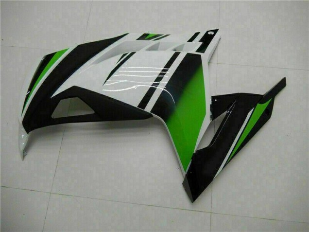 Verde Negro Plata Carenado Moto Kawasaki EX300 2013-2016 Verde Negro Plata Carenado Moto Kawasaki EX300 2013-2016